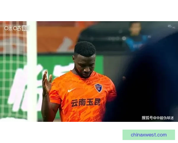 约尼查谈不败心态拼搏终有回报